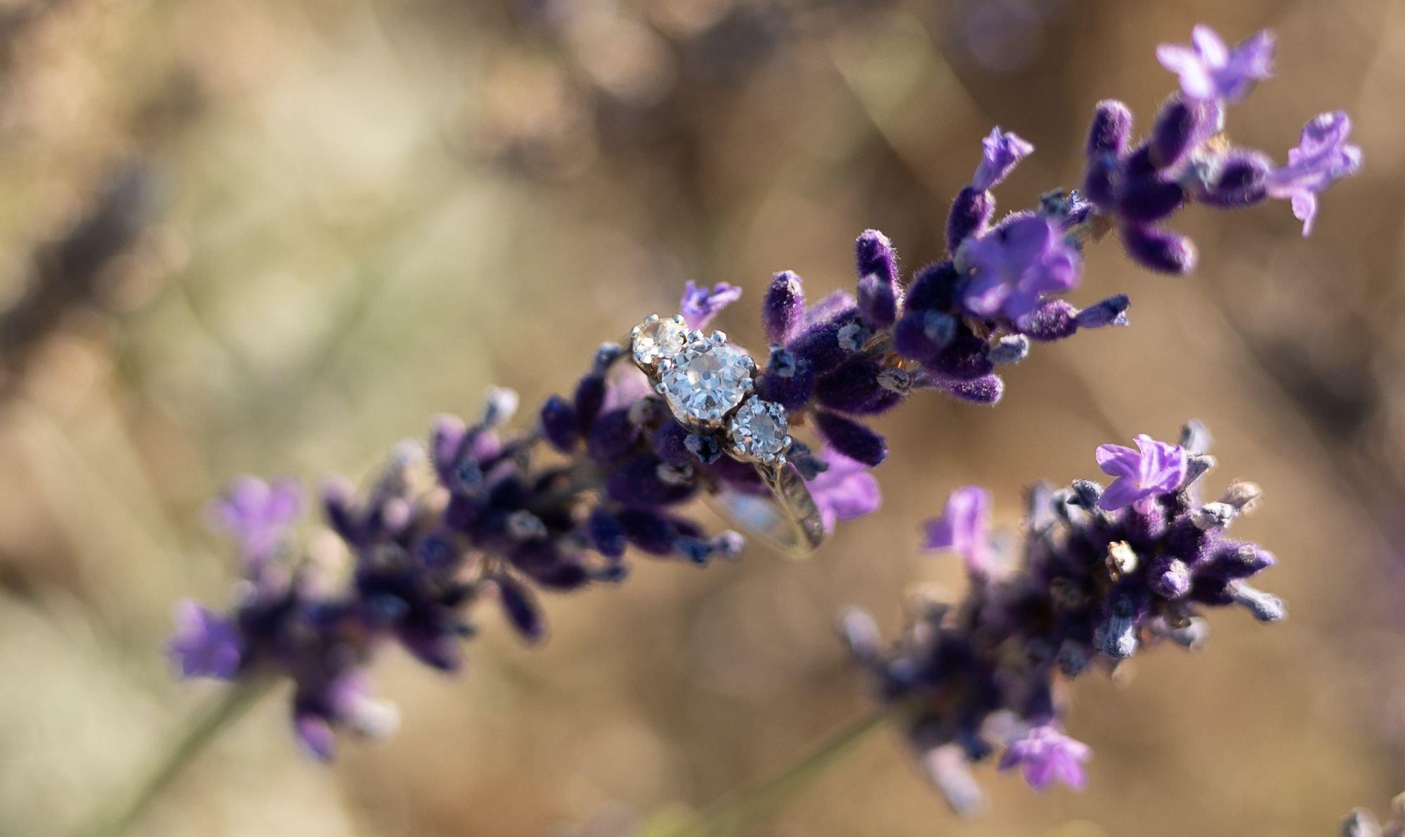 carousel-hero-element image-4