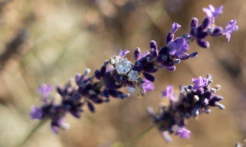 mobile - carousel-hero-element image-5